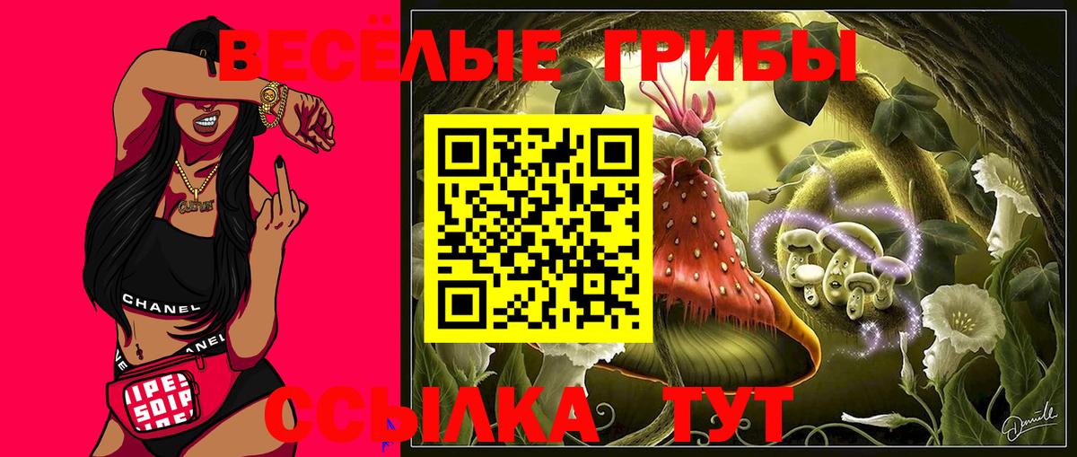 Псилоцибиновые грибы Psilocybe  Псилоцибиновые грибы Magic Shrooms  где купить наркотик  Вход с VPN  Кировск 