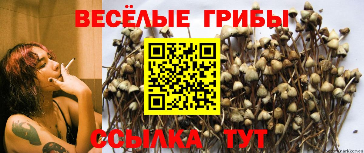 Псилоцибиновые грибы ЛСД Кировск